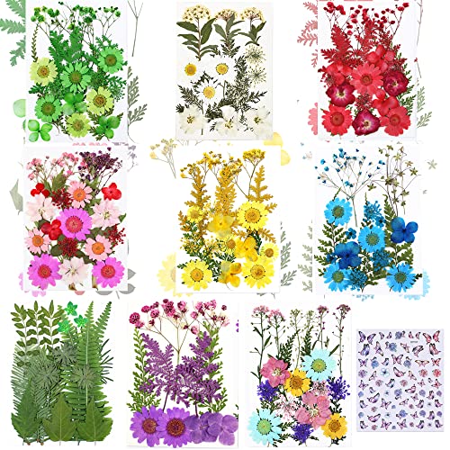 Cayway 8 Pack Dried Flowers for Resin Molds, Real Natural Dried Pressed Flowers, Natural Dried Pressed Leaves with Butterfly Sticker for Scrapbooking DIY Art Crafts, Jewelry - color: 9 Packs+1 Packs Butterfly