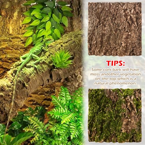 JMIATRY 4PCS Reptile Cork Bark 12x12 Inch Large Cork Bark Flats for Reptile | Natural Cork Background forTerrarium, Reptile Terrarium, DIY Background Climbing Wall, Gecko Snake Vivarium Decor