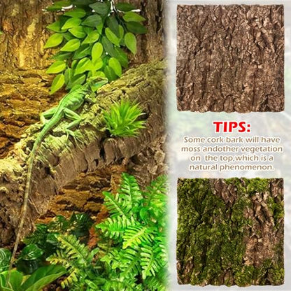 JMIATRY 4PCS Reptile Cork Bark 12x12 Inch Large Cork Bark Flats for Reptile | Natural Cork Background forTerrarium, Reptile Terrarium, DIY Background Climbing Wall, Gecko Snake Vivarium Decor
