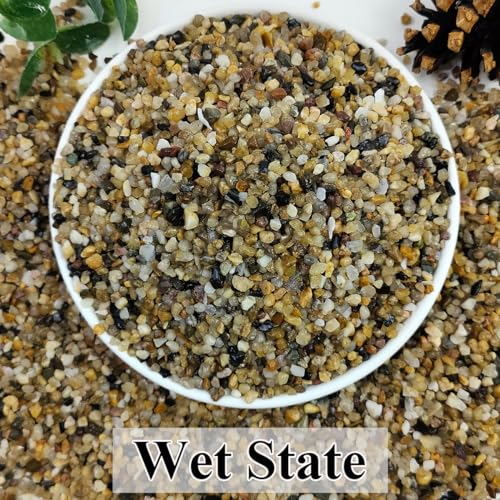 YISZM 20lbs Aquarium Gravel, 1/8"(2-4mm) Natural River Rocks | Succulent Cactus Pea Gravel for Plants, Fish Tank, Decorative Pebbles for Gardening, Flower Pots, Vase Fillers, Landscaping - size: 1/8 Inch