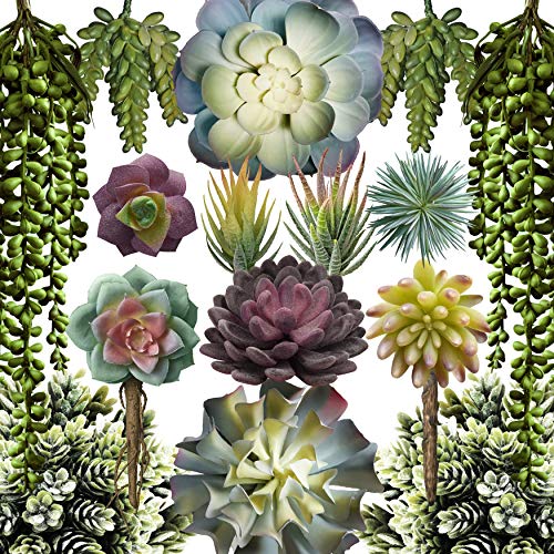caqpo Premium Artificial Succulents - Mini Fake Succulent Plants & Faux Cactus - 15 Pack - size: 15 Pack