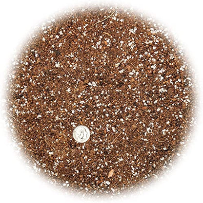 Premium Organic Seed Starter Soil - 4 Quart - All-Purpose Organic Potting Soil for Happy Seedlings and Plants by Gardenera - size: 4 Quart Bag, style: #2 SEED STARTER MIX