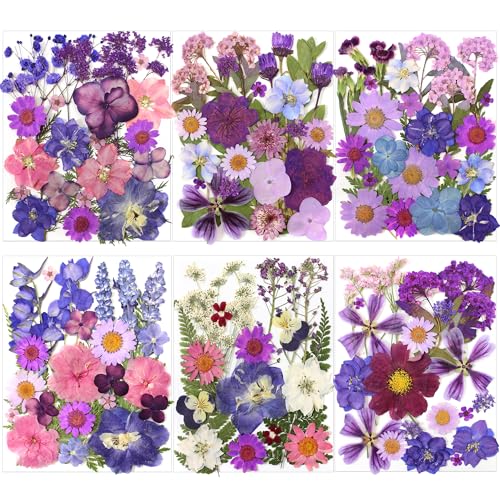 Dried Pressed Flowers Leaves Kit (140pcs Purple) | Real Natural Flowers, Scrapbook Supplies, Candle & Soap Making, Jewelry Crafting, Phone Case Decor - color: Purple 140pcs