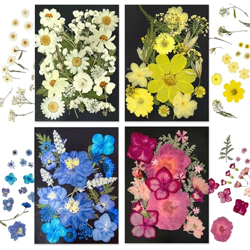 88 Pcs Dried Pressed Flowers for Resin, Real Pressed Flowers Dry Leaves Bulk Natural Herbs Kit for Scrapbooking DIY Art Crafts, Epoxy Resin Jewelry Molds, Candle, Soap Making, Nails Décor