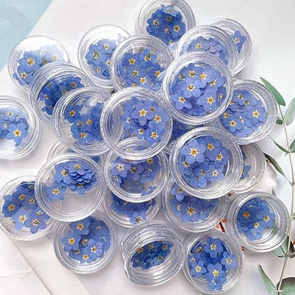 Leadigol Blue Forget Me Not Flowers,Don't Forget Me Dried Flower,Natural Real Dried Pressed Flowers, for Scrapbooking Art Crafts,Jewelry Soap Making,Nails Art Flowers Decorations