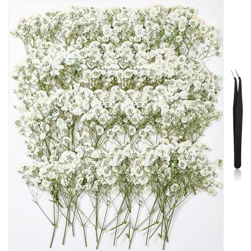 112Pcs Babys Breath Mini Dried Pressed Flowers for Crafts, Real Natural Flat White Dry Flowers Bulk for DIY Wedding Invitation, Resin Art, Card, Bookmark, Scrapbook, Jewelry, Frame, Candle,Soap Making - color: White Baby's Breath 112pcs