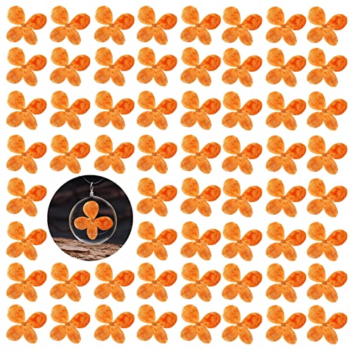 60PCS Pressed Flowers, Real Natural Orange Hydrangea Dried Flowers for Resin Scrapbooking DIY Candle Accessories Jewelry Art Crafts DIY Making - color: Hydrangea Flowers-orange