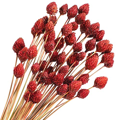 Rtteri 60 Pcs Red Dried Flowers with Stems for Vase Bouquet Bulk