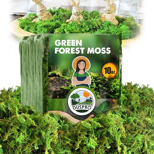 DUSPRO Green Forest Moss for Crafts, Real Dried Decorative Moss, 10 oz - color: 10 Oz