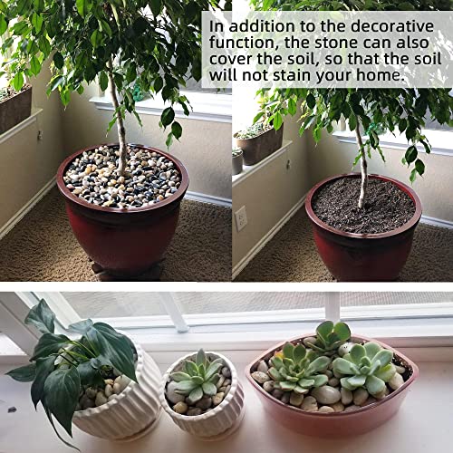 Pebbles for Plants 3 lb Natural Garden Decorative Stone Outdoor Aquariums Gravel 1-1.5 Inches - size: 3LB, style: Colour