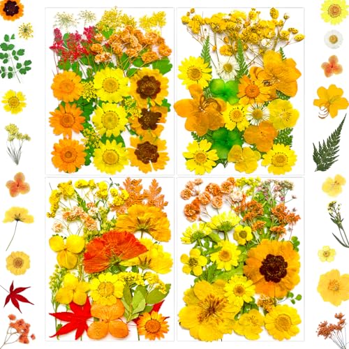MIKIYA 88Pcs Yellow Pressed Dried Flowers for Resin Molds, Real Natural Bulk Dry Floral Leaves for DIY Art Crafts, Epoxy Jewelry, Candle, Soap Making, Nails Decors - color: Yellow