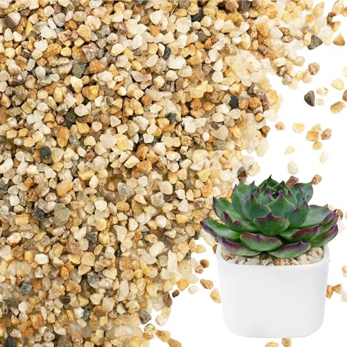 NUPICK 1-3mm Coarse Sand for Plants, 10lb Aquarium Sand for Terrarium - size: 10 lb