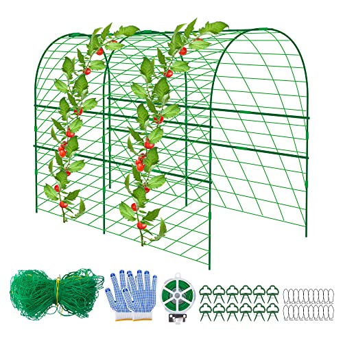 codree Garden Cucumber Trellis for Plant -47x 47 Inch Metal Arch Melon Trellis for Raised Bed -Foldable Tunnel Trellis with Climbing Net Clips for Growing Vine Vegetable - color: Green-47x47Inch