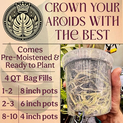 Craft Aroid Potting Mix- Elite Organic Alocasia, Philodendron, Monstera Soil Mix, Chunky, Well Draining Potting Soil for Indoor Plants, All Tropical Plants & Houseplants, Sustainable & Peat Free 4QT - size: 4 Quart