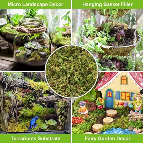 Legigo 1.3LB Sphagnum Moss for Plants, 25QT Natural Long Fiber Orchid Moss | Drainage & Moisture Retention, Green Plant Moss for Orchid Repotting, Carnivorous, Succulents, Reptile Bedding & Terrariums - size: 1.3LB