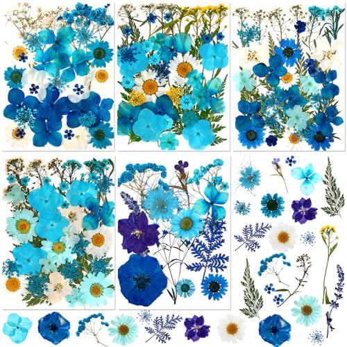 Nuanchu 167 Pcs Pressed Dried Flowers for Resin, Blue, Novelty Style - color: Blue, style: Novelty Style