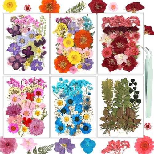 Dried Flowers, Resiners 174Pcs Pressed Flowers for Craft Colorful Real Natural Dried Flowers Dry Leaves Kit for DIY Making Crafts Resin Soap Candle Scrapbook Supplies Card Making Jewelry - color: Colorful 174pcs
