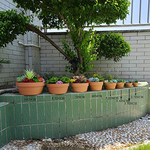 Yishang 2.7 Inch Shallow Terracotta pots,Small Hand Craft Nursery Plant Pot,Mini Clay Cactus/Succulent/herb Container with Drain Hole for Seeding - Set of 30 - size: 2.7 inches