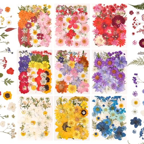 330PCS Natural Color Pressed Dried Flowers for DIY Crafts Corlor-9 - color: Corlor-9