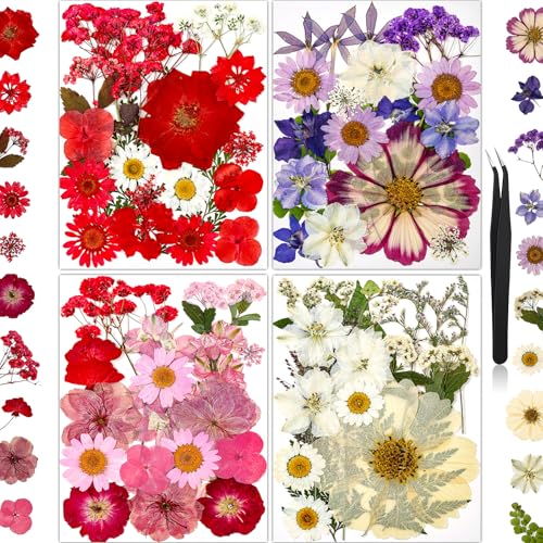 85Pcs Pressed Flowers for Crafts, Real Dried Flowers for Crafts Dried Pressed Flowers Dry Leaves in Red, White, Pink & Purple for Resin, DIY Art, Scrapbook, Jewelry, Candle & Soap Making with Tweezer - color: Multi Color-c 85pcs
