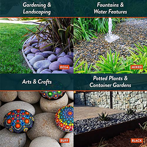 Mexican Beach Pebbles | 2000 Pounds of Smooth Unpolished Stones | Hand-Picked, Premium Pebbles for Garden and Landscape Design | Buff, 3 Inch - 5 Inch - color: Buff, size: 3 Inch - 5 Inch