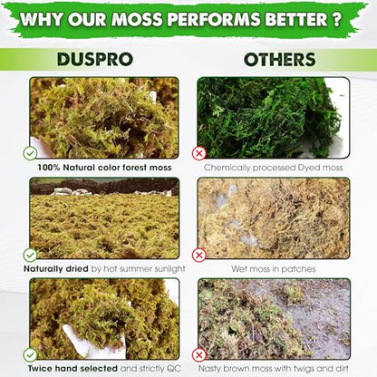 1.25 LBS Real Dried Forest Moss for Potted Plants, Plant Propagation | Hand-Picked & Clean, Easy to Rehydrate, Balanced Moisture, Forest Orchid Moss for Potting Mix,Moss Soil Cover for Houseplants - size: 1.25 LB