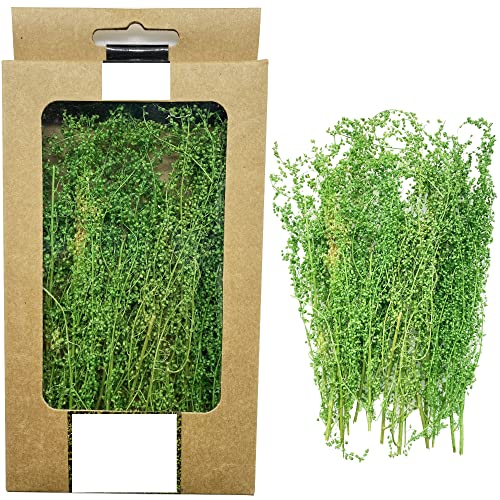 Cayway Miniature Shrubs Model Bushes Long Shrub Vegetation Groups Static Grass Tuft for DIY Model Train Landscape Railroad Scenery, Grass Green - color: Green