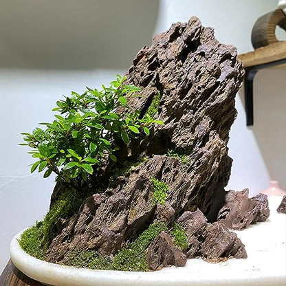 Natural Stone 10lb Fish Tank Rock for Aquarium Landscaping Models Fish Tank Decoration,Freshwater Planted Aquariums and Amphibian Enclosures-2-6 inches - size: 10LB(2-6 inches)