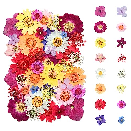 Dried Flowers, Kaluofan 45PCS Real Pressed Flowers, Dried Flowers for Resin Crafts, for Bookmark Resin Scrapbooking Jewelry Crafts Making, Candle and Nails Decoration - color: L05, size: 40PCS