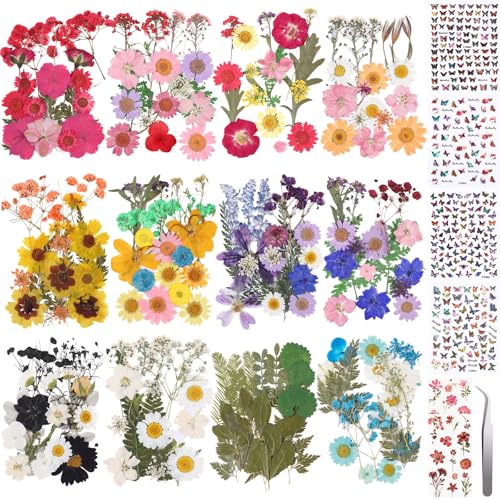 AmazingSpark 650pcs Dried Pressed Flowers for Resin Nail Candle Jewelry