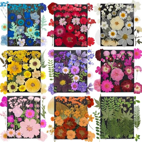 285Pcs 9 Packs Mixed Types Real Natural Dried Pressed Flowers & Leaves for Resin Molds, DIY Crafts, Jewelry Making + 100Pcs Butterfly Stickers + Tweezers