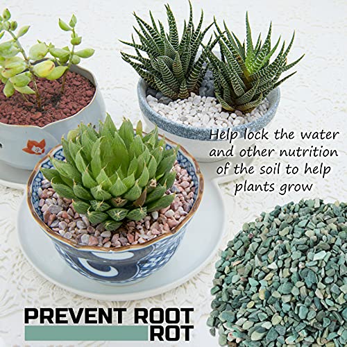 2LBS Horticultural Succulent Rocks Bonsai Mix Succulent Potting Mix Lava Rocks Cactus Soil Potting Mix Amendment - color: Green Zeolite