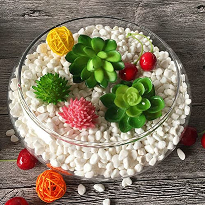 10 Inch Glass Bowl for Plants - Lotus Planter & Clear Terrarium, Large Round Vase for Table Centerpiece, Shallow Bowl for Goldfish & Betta, Decorative Glass Hydroponic Plant Pot 25cm - size: 25x25cm