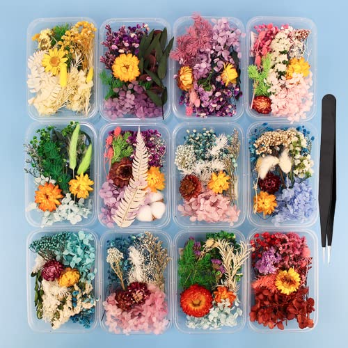 4 Packs Real Natural Dried Flowers for Making Mobile Phone Case Candle Handmade Crafts Epoxy Resin Pendant Necklace Jewelry DIY Accessories,Mixed Multi-Color Dried Flowers(Random Shipping 4 Packs)