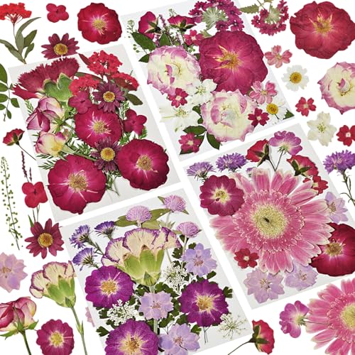 Dried Pressed Flowers for Resin - size: 71 pcs Dried Flowers