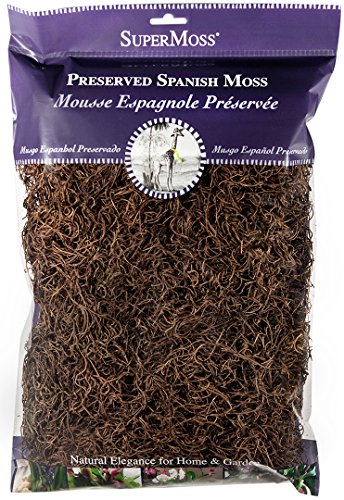 SuperMoss (26972) Spanish Moss Preserved, Coffee, 8oz (200 cubic inch) - size: 8.00 Ounce (Pack of 1)