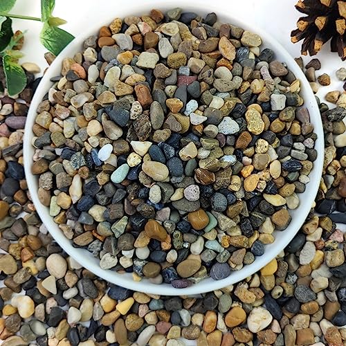 YISZM 5lbs Aquarium Gravel, 1/4" Fish Tank Gravel Natural River Rocks - size: 1/4 Inch
