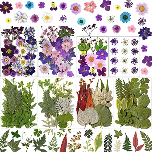 LUCISKY 176 Pcs Pressed Flowers Dried Leaves Real Natural Leave Petals for DIY Resin Molds, Candle,Soap and Jewelry Nail Crafts