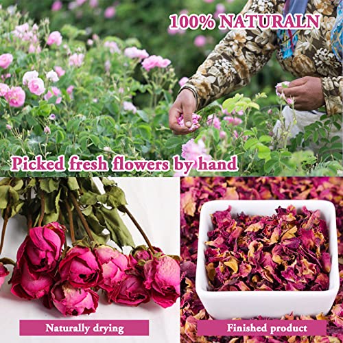 SACATR Dried Flowers, 50 Bags 100% Natural Dried Herbs Kit for Soap Making, Candle, Resin Jewelry Making, Bath, Nail - Include Rose Petals, Rosebuds, Lilium, Jasmine, Don't Forget Me and More - color: 50 Bags*10g
