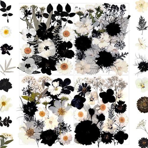 MIKIYA 90Pcs Black Pressed Dried Flowers for Resin Molds, Real Natural Bulk Dry Floral Leave for DIY Art Crafts, Epoxy Jewelry, Candle, Soap Making, Nails Decors Gifts - color: Black