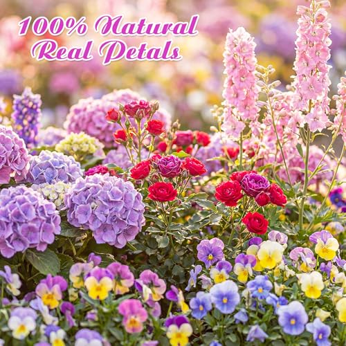 96 Pcs Pressed Edible Flowers, Colorful, Flower Style | Natural Dried Flowers for Cake Topper Cupcake, Cocktails Garnish, Resin Jewelry DIY, Soap, Candle Making Art Crafts - color: Colorful, style: Flower Style