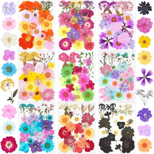 190Pcs Dried Pressed Flowers for Craft,Xinxinran Dry Flower Kit for Resin - color: Bright Color