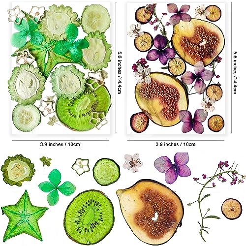 70PCS+ Nature Dried Pressed Fruits Flowers for Resin Mold, Real Dry Pressing Floral Set for DIY Jewelry Making Nail Card Scrapbook Art Craft Fruits Style - color: Bright Fruit