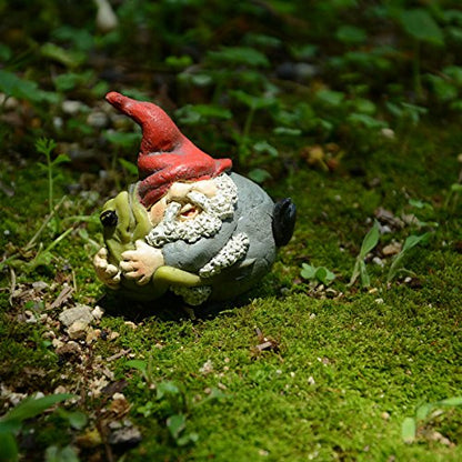 Top Collection Miniature Fairy Garden and Terrarium Gnome Hugging Frog Figurine