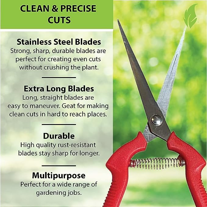 Garden Guru Straight Stainless Steel Pruner Pruning Shears Clippers Snips – Sharp Bonsai Cutter Plant Trimming Scissors – Straight Blade Garden Scissors Tool – Great for Roses Flowers Herbs Fruits - size: 1 Pack, style: Snips