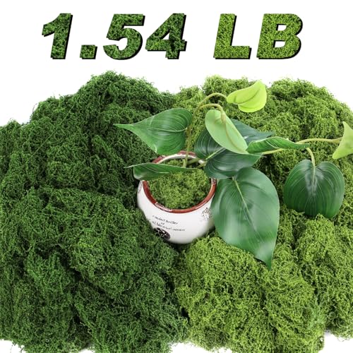 Jollidecor 1.54 LB Fake Moss for Crafts, Artificial Decorative Light Green and Dark Green Faux Moss DIY Fairy Garden Decor for Indoor Decor - size: 24.7 OZ