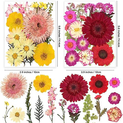 122PCS Large Nature Dried Pressed Flowers for Resin Mold, Real Dry Pressing Floral with Butterfly Transparent Stickers Set for DIY Jewelry Making Nail Card Scrapbook Art Craft Love Parade - color: Love Parade