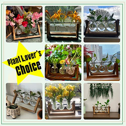 XXXFLOWER Plant Terrarium with Wooden Stand- 3 Bulb Vase+ Wall Hanging Propagation Station with 3 Star-Shaped Glass Vase