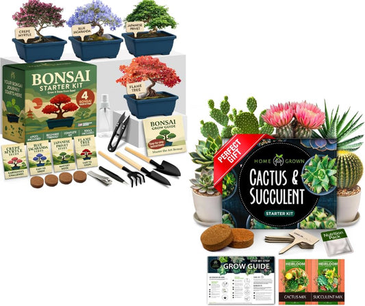 HOME GROWN Bonsai Tree Starter Kit – Unique Christmas Gift for Adults, Men, Women - Grow 4 Bonsais & HOME GROWN Succulent & Cactus Seed Kit for Planting
