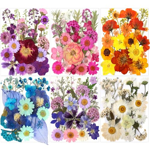 Stylifeo140Pcs Dried Pressed Flowers Leaves Kit for Resin Molds & Nail Art | Real Natural Flowers, Scrapbook Supplies, Candle & Soap Making, Jewelry Crafting, Phone Case Decor - color: White Yellow 140pcs